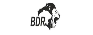 BDR Pharmaceuticals